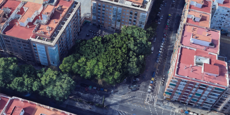 Comienzan las obras de remodelación del Jardín Rodríguez de Cepeda–Doctor Manuel Candela 1 Comienzan las obras de remodelación del Jardín Rodríguez de Cepeda–Doctor Manuel Candela