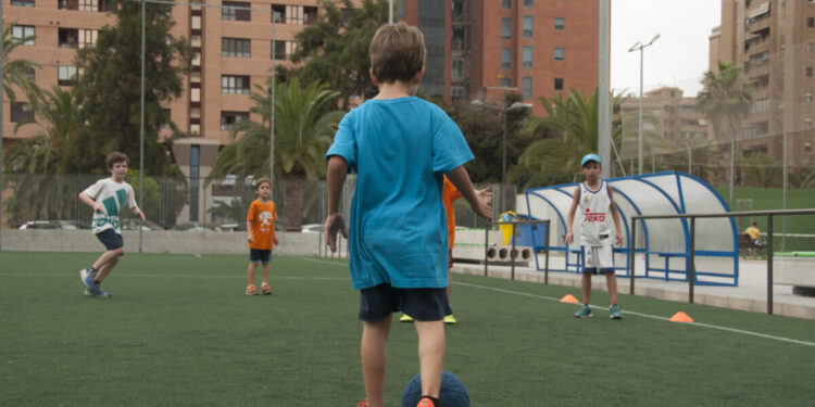 Valencia eleva a un récord de 20,4 millones el presupuesto municipal para deporte en 2027 1 0829 Campus FDM 1 scaled 1