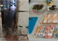 6 detenidos por venta de drogas en tres puntos de Gandía