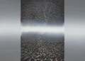 1dcd5983 4a4b 43e7 9c14 7a626c296c27 16 9 aspect ratio 1600w 0