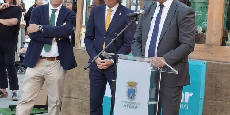 La Conselleria entierra el macrovertedero de Zarra al caducar el expediente de la empresa promotora 1 La Conselleria entierra el macrovertedero de Zarra al caducar el expediente de la empresa promotora