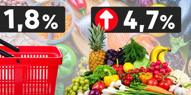 La cesta de la compra cuesta un 39,5% más que hace cinco años pese a la moderación de la inflación 1 3aa32d26 d3ec 43f6 86c1 b6eeda25b413