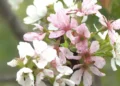 424c2a8d 6464 4478 bb09 3c7832246897 16 9 aspect ratio 1600w 0
