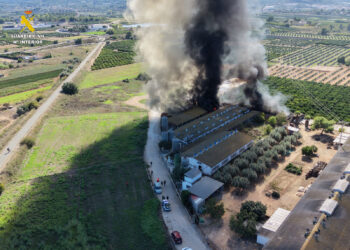 Rescate heroico en Benaguasil: la Guardia Civil y la Policía Local salvan a cinco trabajadores y 3.300 cerdos en el incendio de una granja 14 Rescate heroico en Benaguasil: la Guardia Civil y la Policía Local salvan a cinco trabajadores y 3.300 cerdos en el incendio de una granja
