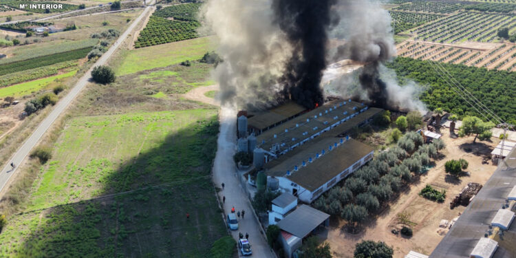 Rescate heroico en Benaguasil: la Guardia Civil y la Policía Local salvan a cinco trabajadores y 3.300 cerdos en el incendio de una granja 1 Rescate heroico en Benaguasil: la Guardia Civil y la Policía Local salvan a cinco trabajadores y 3.300 cerdos en el incendio de una granja