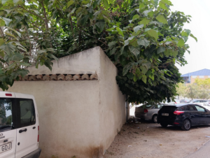 Alquerías de Olba: doce años de abandono y una nueva recomendación del Síndic al Ayuntamiento de Valencia 2 Alquerías de Olba: doce años de abandono y una nueva recomendación del Síndic al Ayuntamiento de Valencia