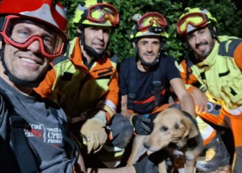 Los Bomberos de Xàtiva rescatan a un perro atrapado en una tubería de riego