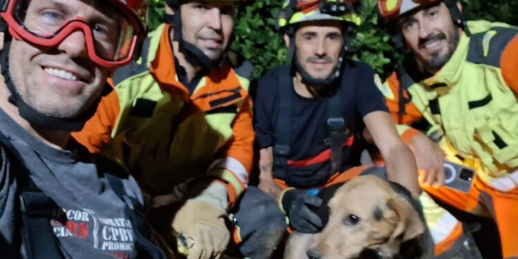 Los Bomberos de Xàtiva rescatan a un perro atrapado en una tubería de riego