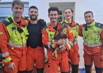 Un perro atrapado en el desagüe de su vivienda es rescatado por los Bomberos en Sollana