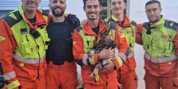 Un perro atrapado en el desagüe de su vivienda es rescatado por los Bomberos en Sollana