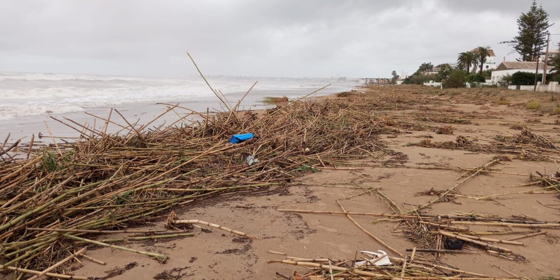 Dénia pone en marcha un dispositivo de emergencia para limpiar sus playas tras el paso del temporal