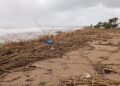 Dénia pone en marcha un dispositivo de emergencia para limpiar sus playas tras el paso del temporal