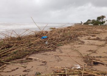 Dénia pone en marcha un dispositivo de emergencia para limpiar sus playas tras el paso del temporal