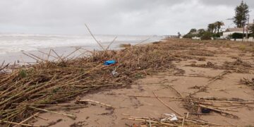 Dénia pone en marcha un dispositivo de emergencia para limpiar sus playas tras el paso del temporal
