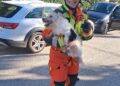 Los Bomberos del Parque de Catarroja rescatan a un perro tras caer a una fosa séptica en Picassent 12 Los Bomberos del Parque de Catarroja rescatan a un perro tras caer a una fosa séptica en Picassent