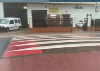 Snapshot 20261016174755