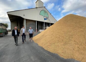 José Gosálbez muestra el respaldo del Consell Agrari a los arroceros de Pinedo: “Sin agricultores no hay Albufera”