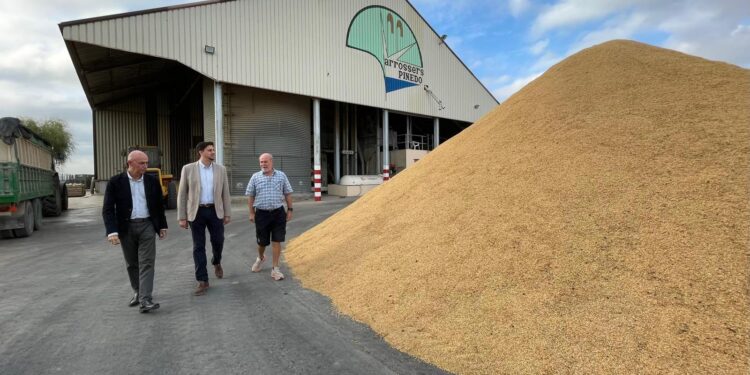José Gosálbez muestra el respaldo del Consell Agrari a los arroceros de Pinedo: “Sin agricultores no hay Albufera” 1 José Gosálbez muestra el respaldo del Consell Agrari a los arroceros de Pinedo: “Sin agricultores no hay Albufera”