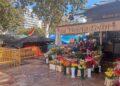 Las floristerías de la plaza del Ayuntamiento de Valéncia, cercadas por la acampada en vísperas de Todos los Santos 10 Las floristerías de la plaza del Ayuntamiento de Valéncia, cercadas por la acampada en vísperas de Todos los Santos