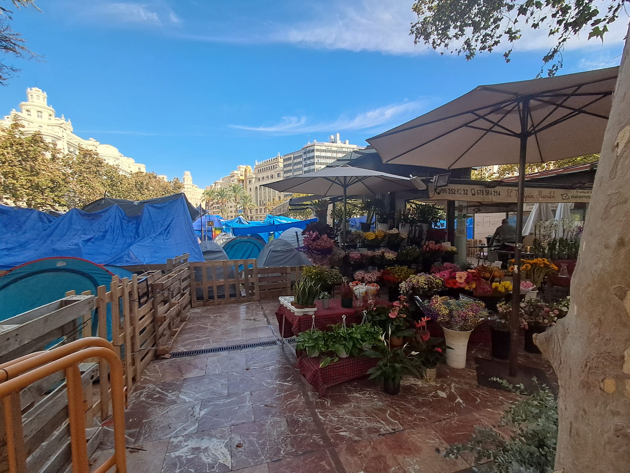 Las floristerías de la plaza del Ayuntamiento de Valéncia, cercadas por la acampada en vísperas de Todos los Santos 3 WhatsApp Image 2026 10 15 at 12.33.391
