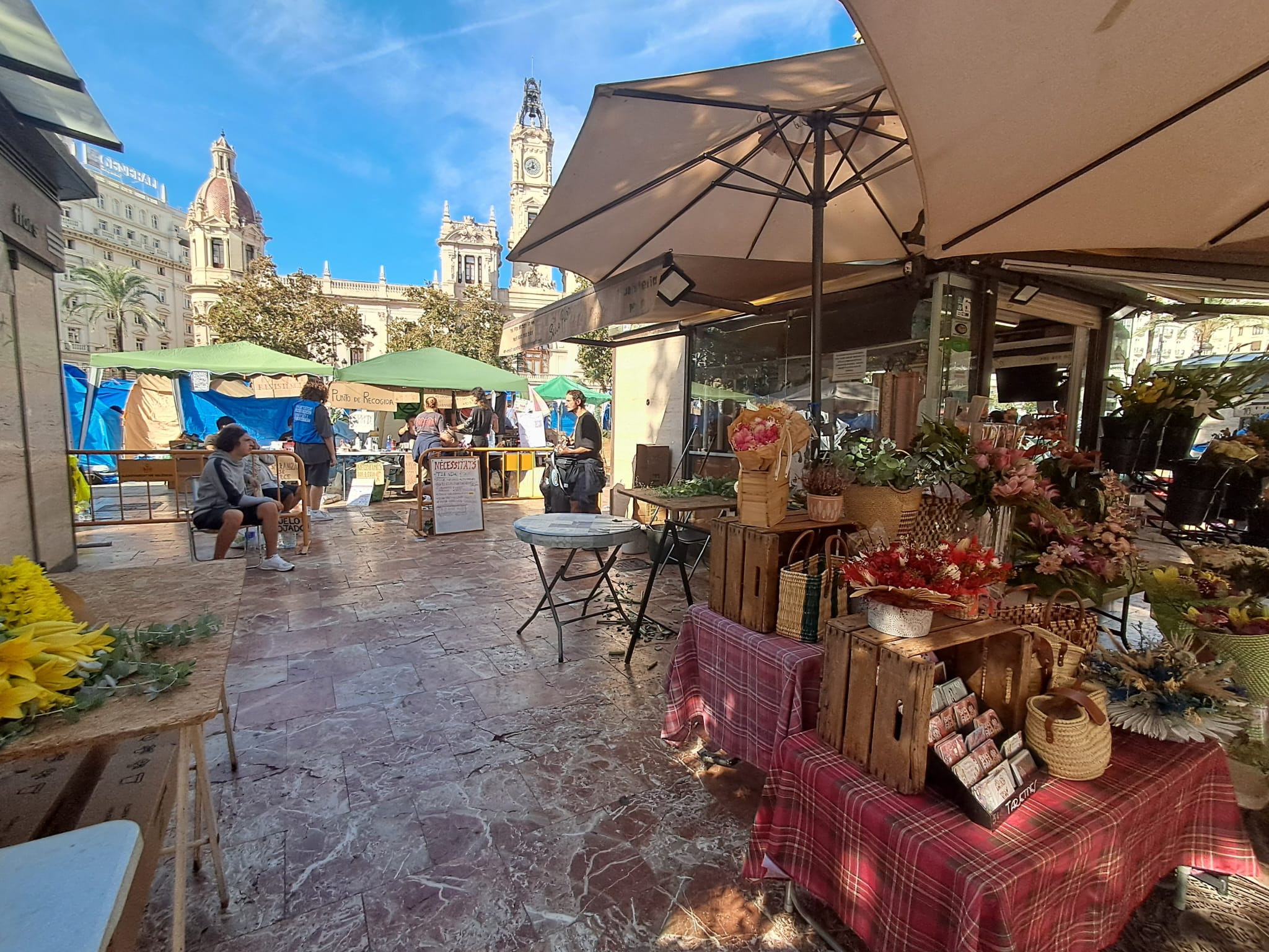 Las floristerías de la plaza del Ayuntamiento de Valéncia, cercadas por la acampada en vísperas de Todos los Santos 5 WhatsApp Image 2026 10 15 at 12.33.43