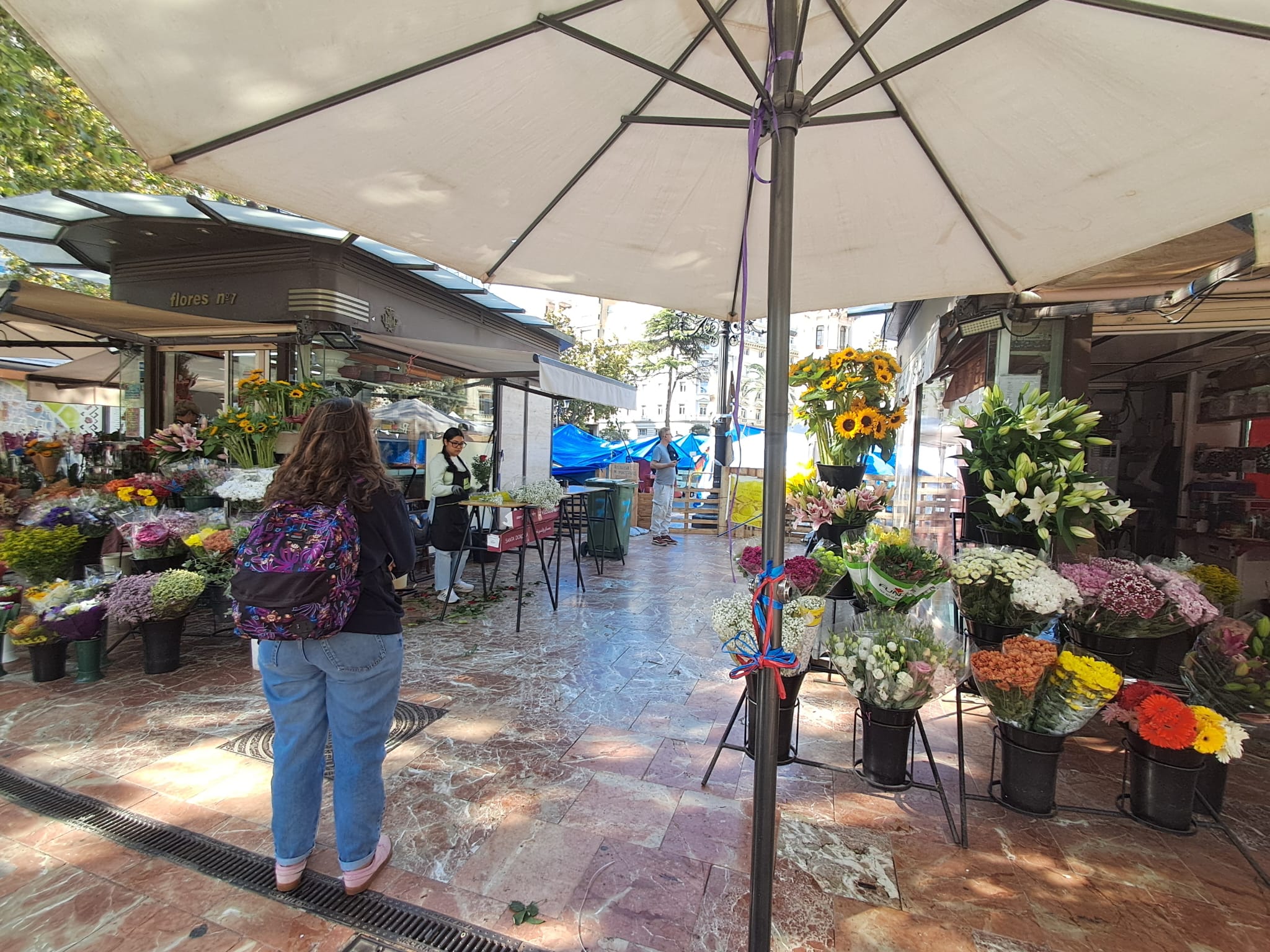 Las floristerías de la plaza del Ayuntamiento de Valéncia, cercadas por la acampada en vísperas de Todos los Santos 6 WhatsApp Image 2026 10 15 at 12.33.431