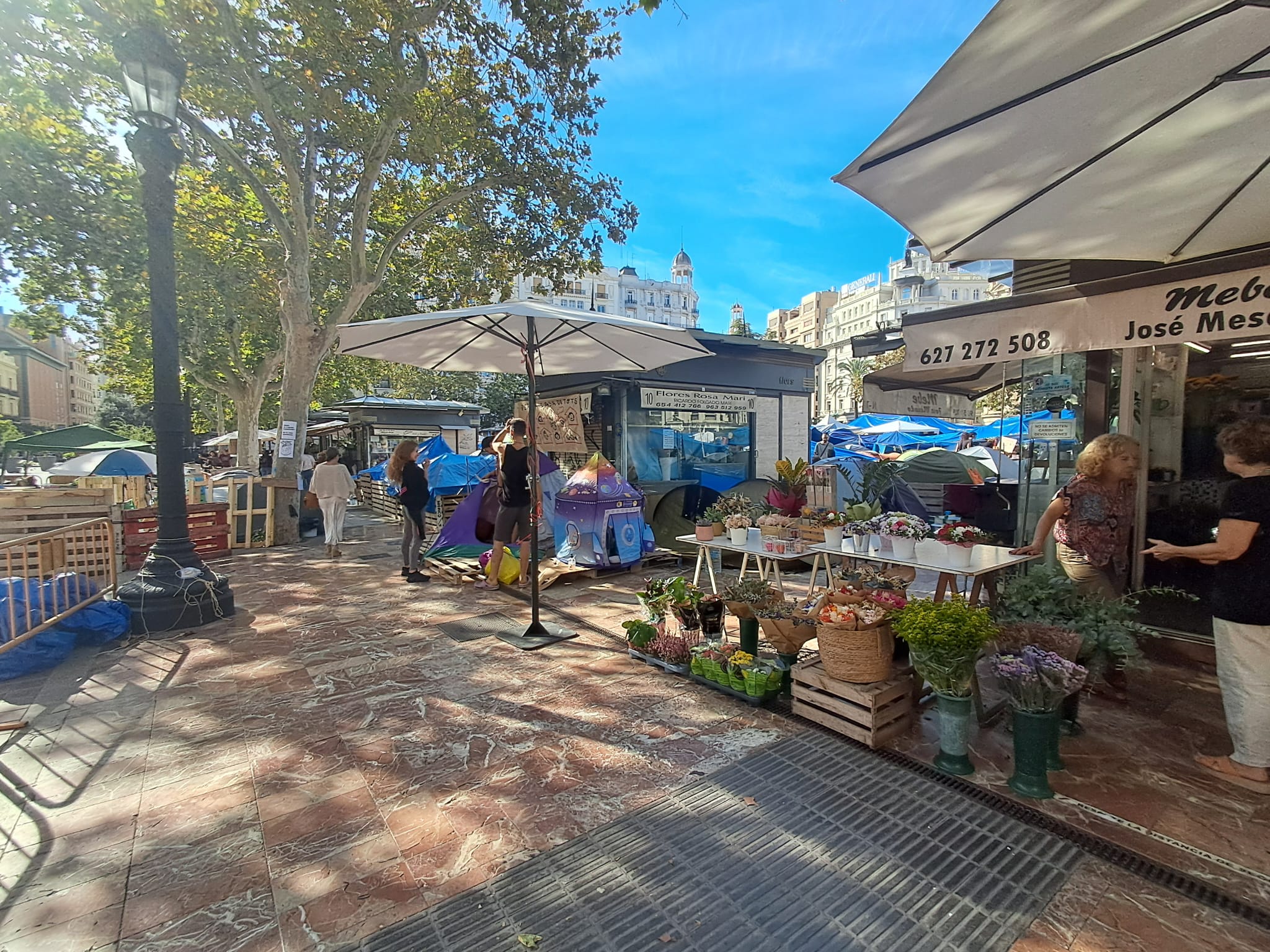 Las floristerías de la plaza del Ayuntamiento de Valéncia, cercadas por la acampada en vísperas de Todos los Santos 7 WhatsApp Image 2026 10 15 at 12.33.432