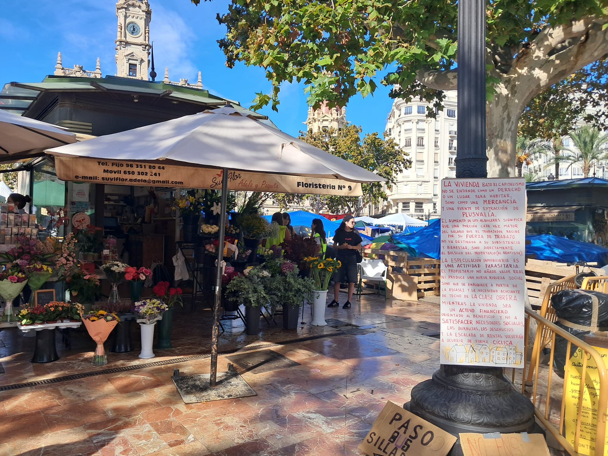 Las floristerías de la plaza del Ayuntamiento de Valéncia, cercadas por la acampada en vísperas de Todos los Santos 9 WhatsApp Image 2026 10 15 at 12.33.441