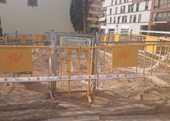 Abandono institucional en el Antiguo Hospital: el colapso de un ficus monumental destapa las vergüenzas de Parques y Jardines