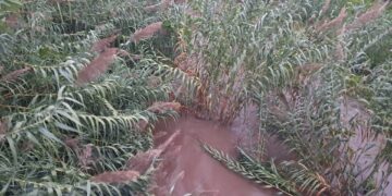 Más de 320 litros por metro cuadrado asfixian la Comunitat Valenciana y mantienen la alerta roja