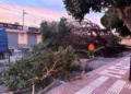 Emergencias contabiliza 236 incidentes por el temporal hasta las 18:00 del domingo 10 fotonoticia 20261018102307 828 1