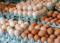 La OCU exige a la AESAN identificar las marcas de huevos afectadas por el brote de salmonela que suma 13 intoxicados 10 La OCU exige a la AESAN identificar las marcas de huevos afectadas por el brote de salmonela que suma 13 intoxicados