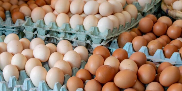 La OCU exige a la AESAN identificar las marcas de huevos afectadas por el brote de salmonela que suma 13 intoxicados