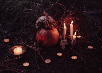 pumpkin 2594747 1280