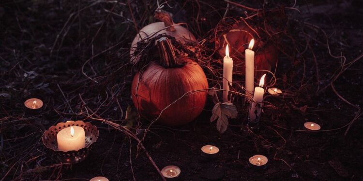 pumpkin 2594747 1280